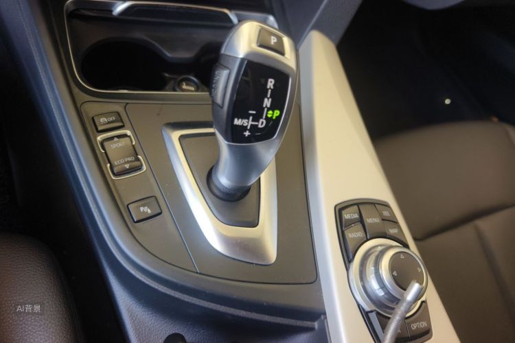 BMW 3 Series 2016 car image #16
