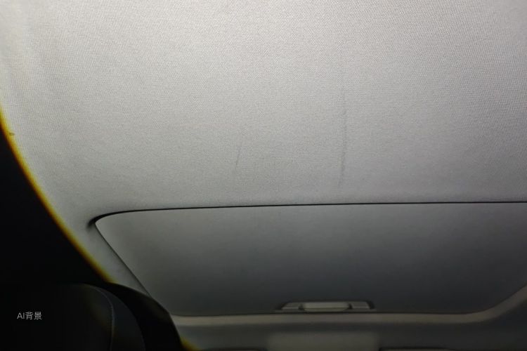 Volkswagen Lavida 2019 car image #20
