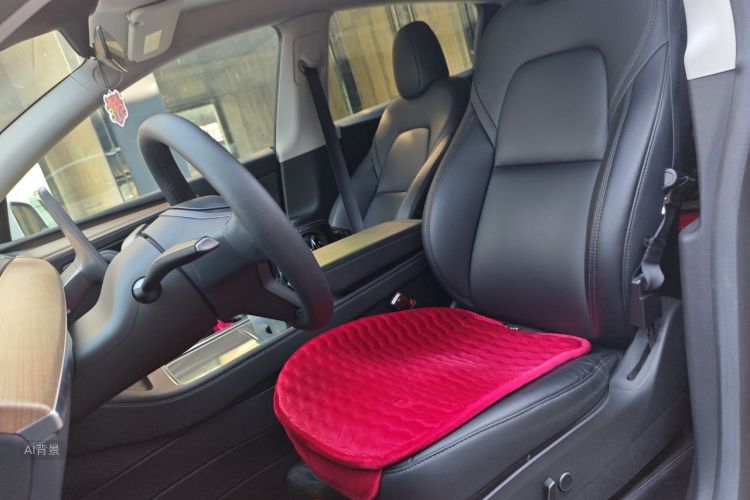 Tesla Model Y 2022 #17 Tesla Model Y 2022 car image #17