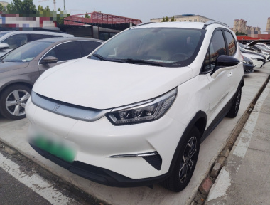 BYD Yuan Pro 2021 car image 