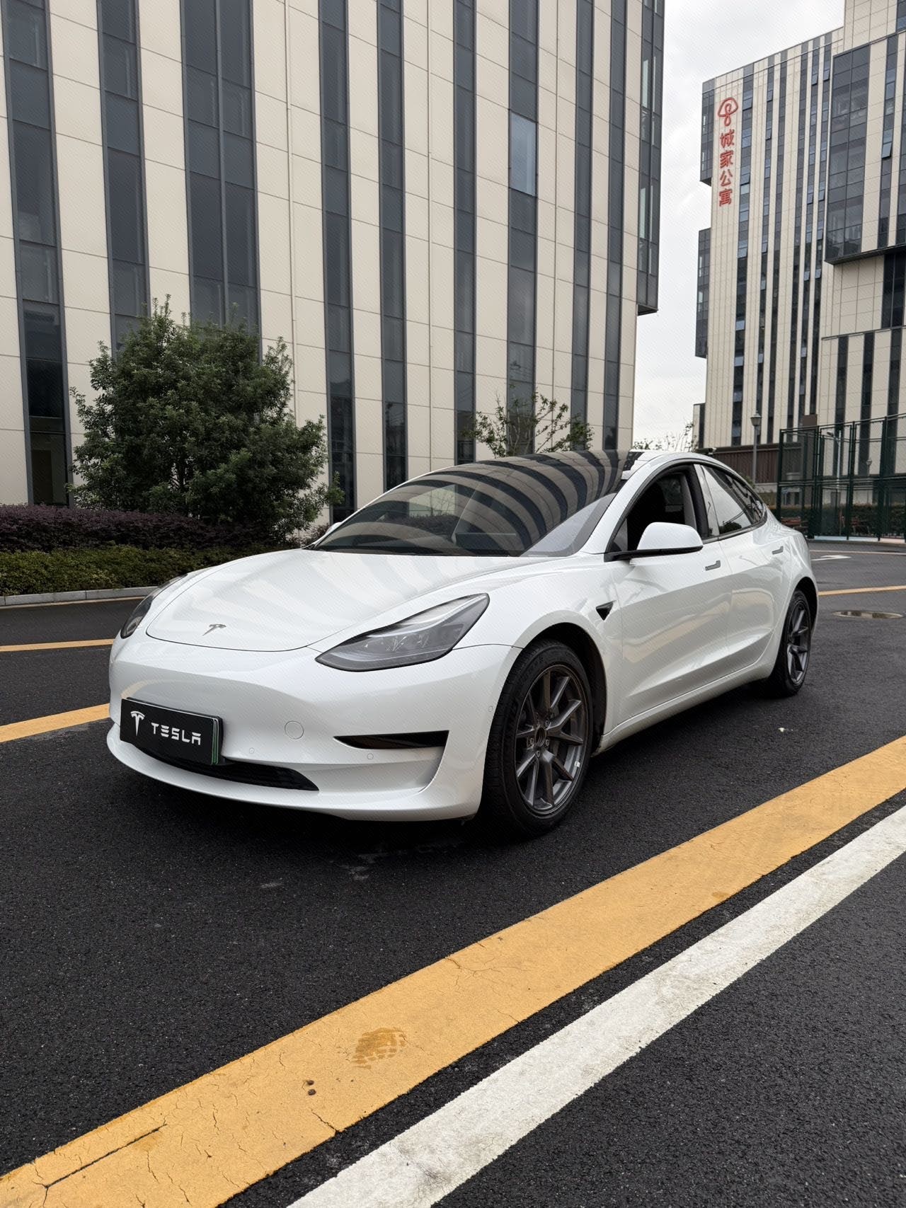 Tesla Model 3 2023 Tesla Model 3 2023 car image
