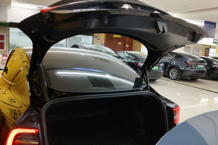 Tesla Model 3 2021 #21 Tesla Model 3 2021 car image #21