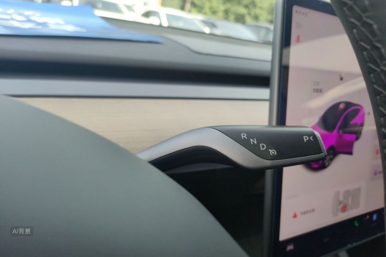 Tesla Model Y 2021 car image #16