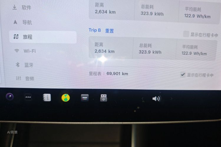 Tesla Model 3 2020 car image #14