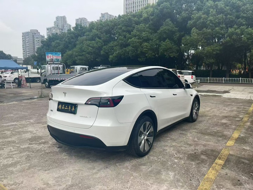 Tesla Model Y 2021 #7 Tesla Model Y 2021 car image #7