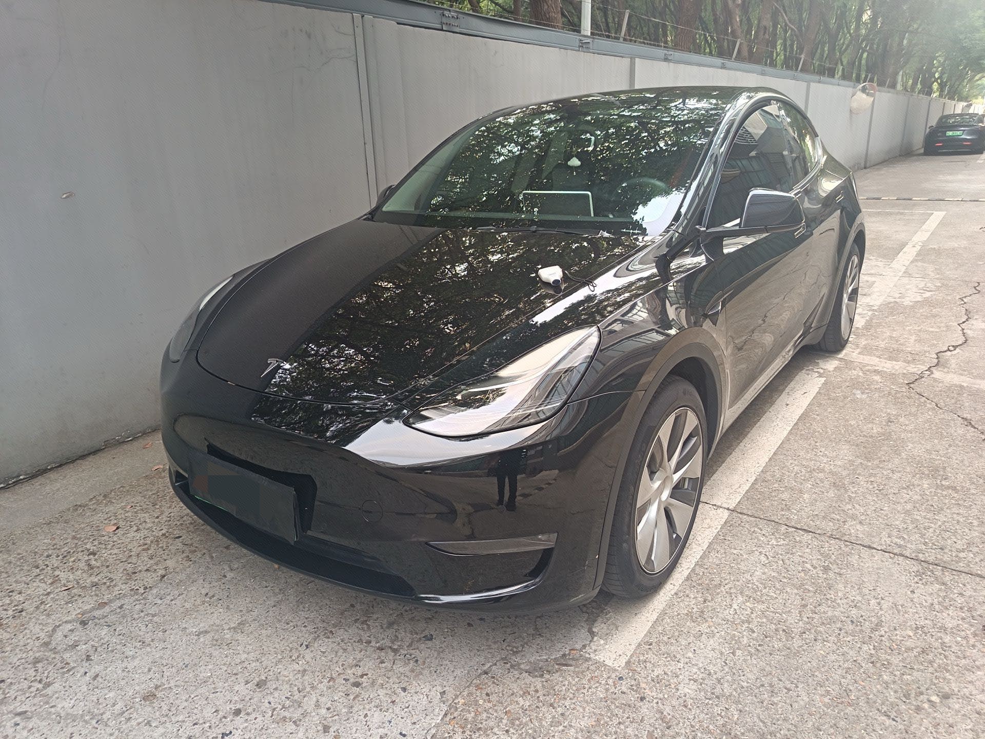 Tesla Model Y 2022 Tesla Model Y 2022 car image