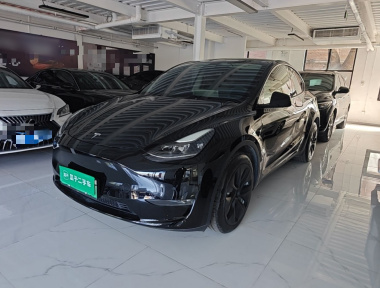 Tesla Model Y 2021 Tesla Model Y 2021 car image