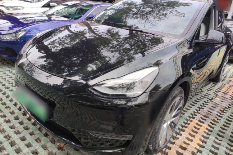 Tesla Model Y 2021 #2 Tesla Model Y 2021 car image #2