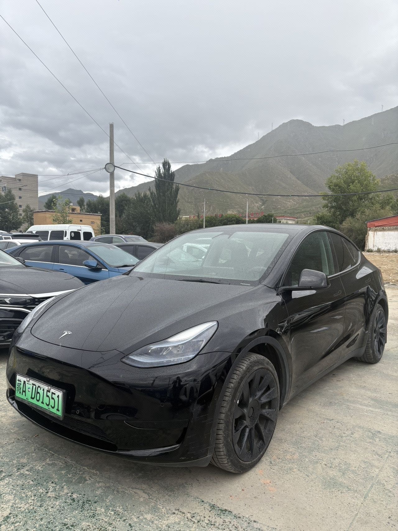Tesla Model Y 2023 Tesla Model Y 2023 car image