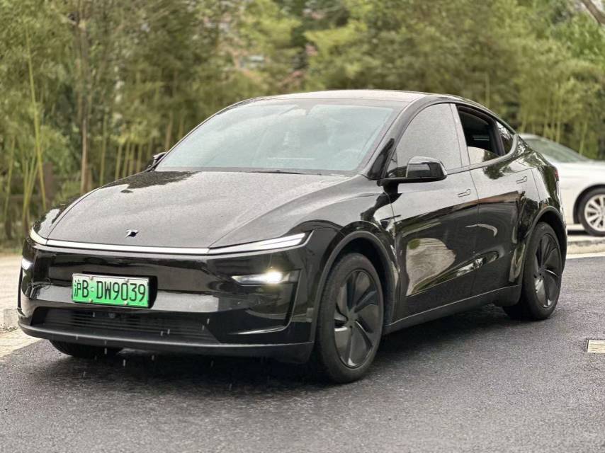 Tesla Model Y 2025 car image 