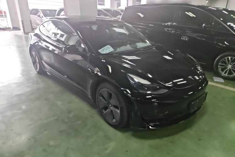 Tesla Model 3 2021 #6 Tesla Model 3 2021 car image #6