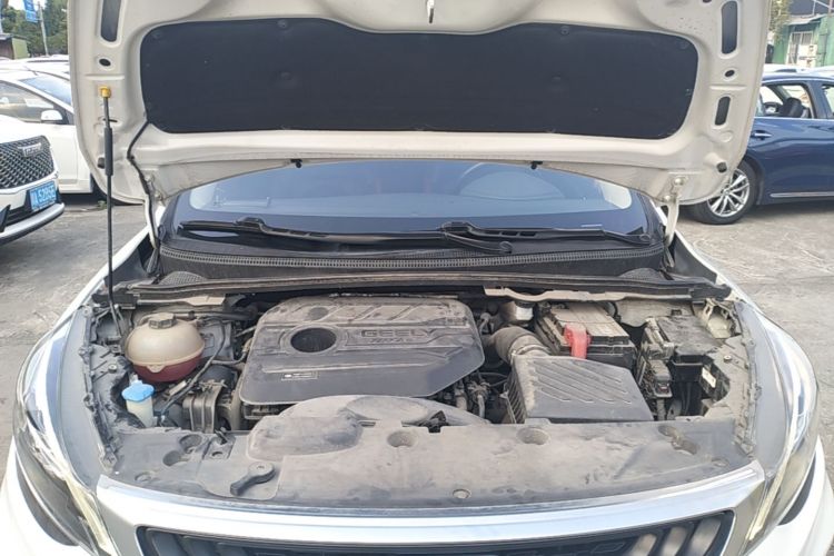 GEELY Emgrand GS 2021 #20 GEELY Emgrand GS 2021 car image #20