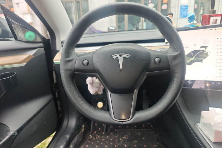 Tesla Model 3 2021 car image #12