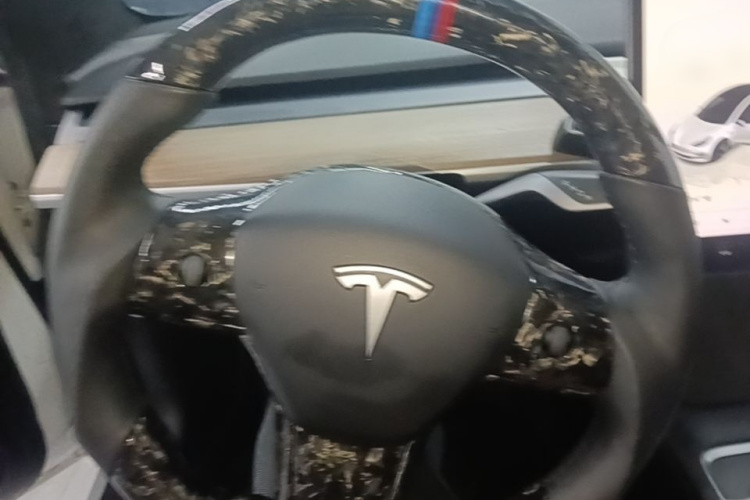 Tesla Model 3 2022 immagine di auto #11