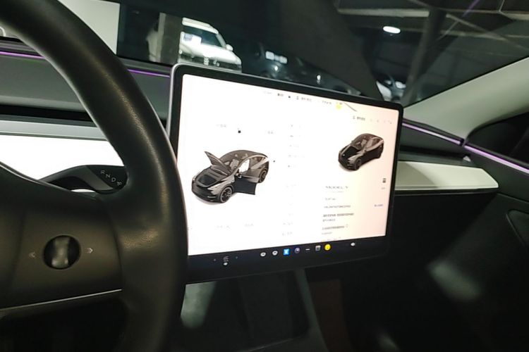 Tesla Model Y 2022 #13 Tesla Model Y 2022 صورة سيارة #13