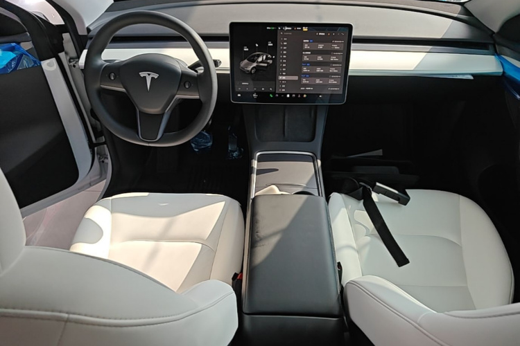 Tesla Model Y 2023 #10 Tesla Model Y 2023 car image #10