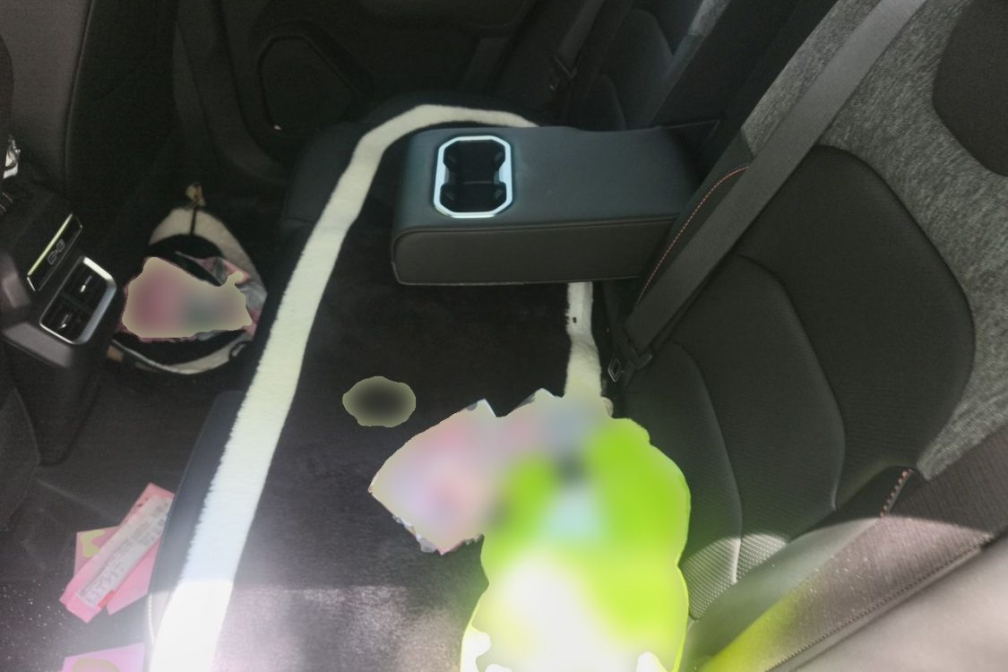 GEELY Cowboy 2024 car image #21