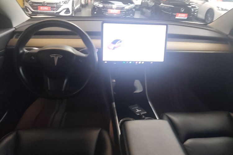 Tesla Model 3 2020 car image #10