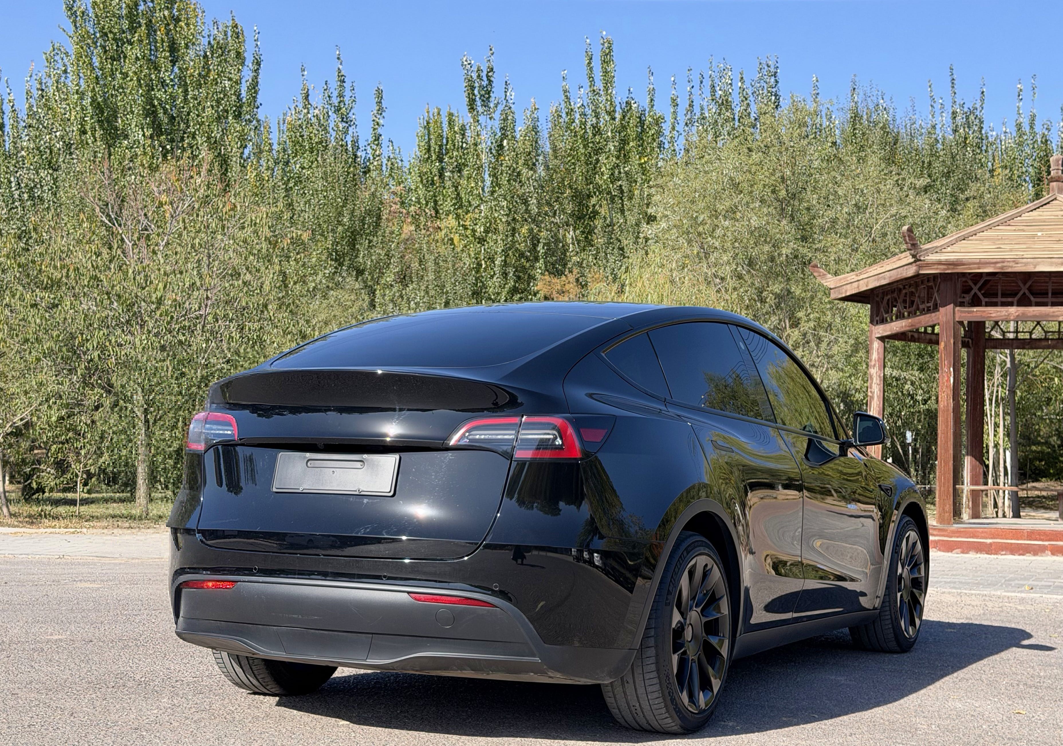 Tesla Model Y 2021 car image #6