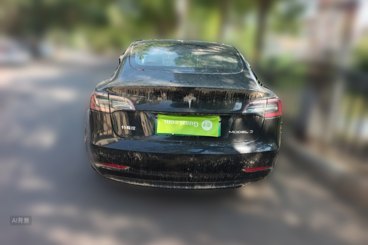 Tesla Model 3 2020 immagine di auto #6
