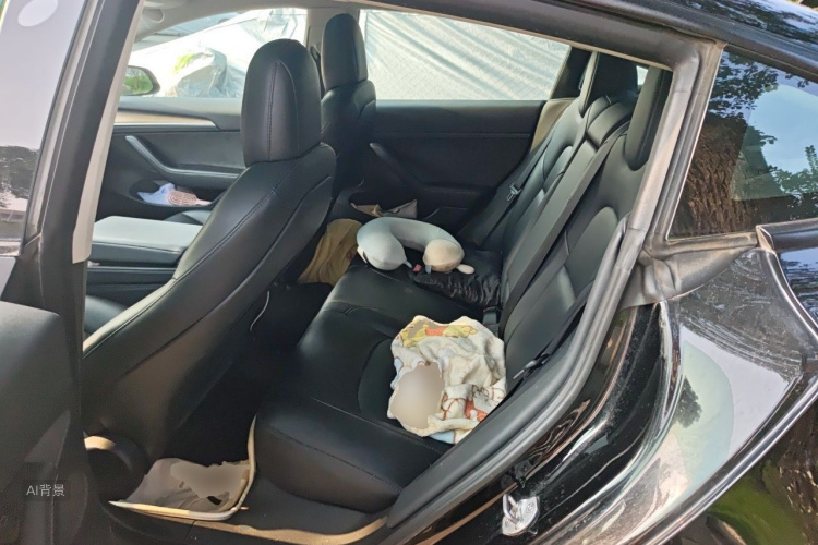 Tesla Model 3 2022 immagine di auto #19