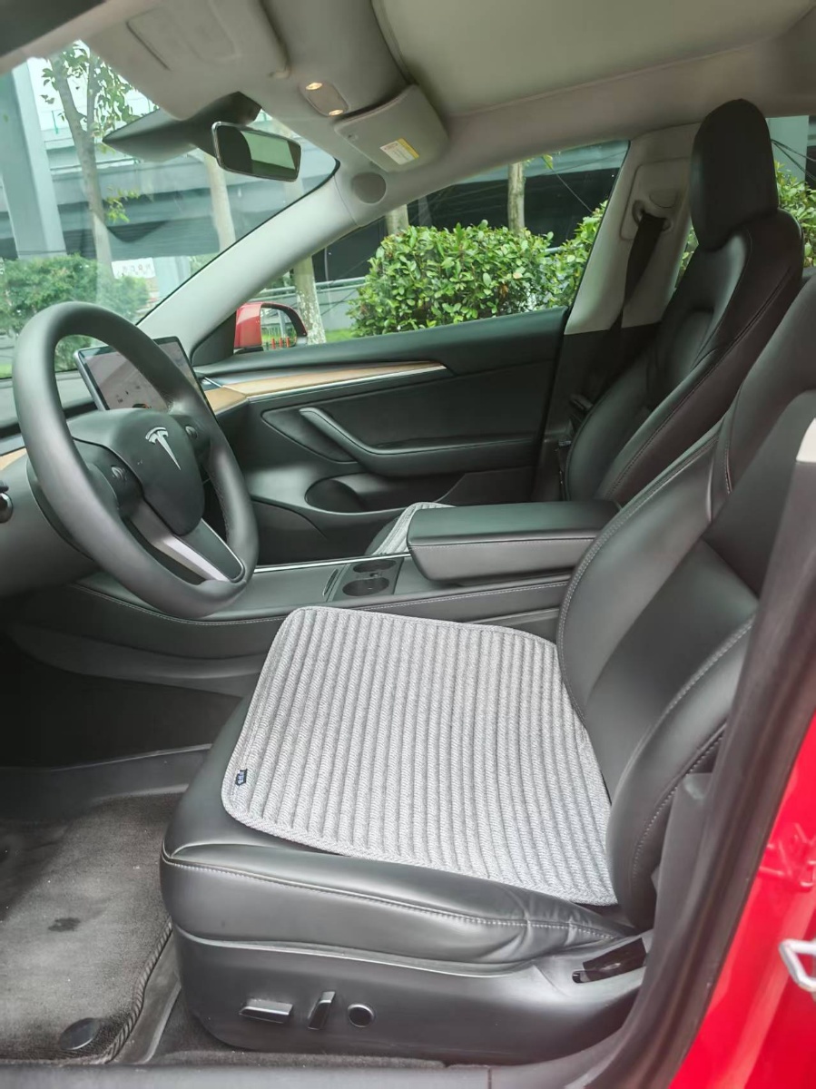 Tesla Model 3 2021 #4 Tesla Model 3 2021 car image #4