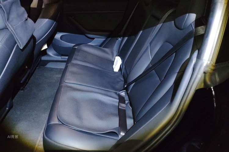 Tesla Model 3 2022 #19 Tesla Model 3 2022 car image #19