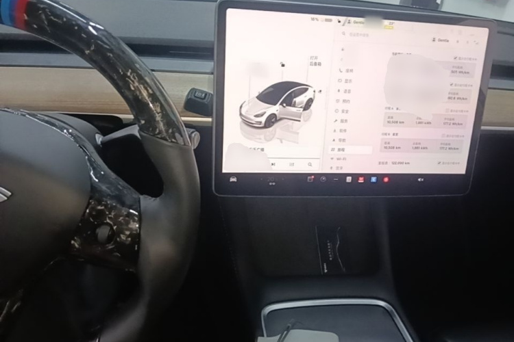 Tesla Model 3 2022 immagine di auto #10