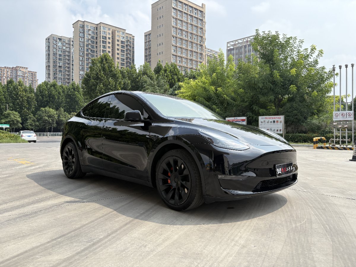 Tesla Model Y 2021 car image 