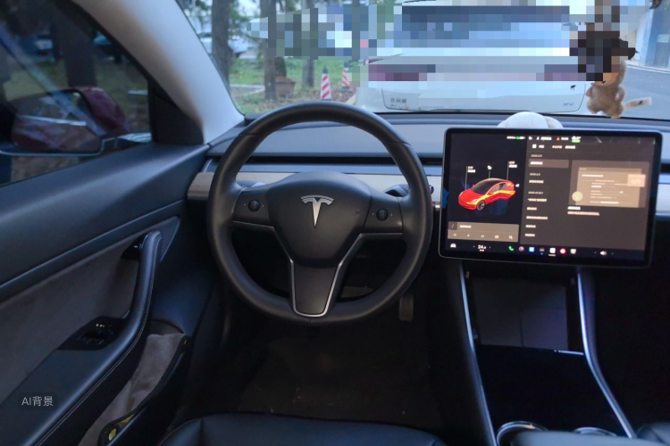 Tesla Model 3 2020 #12 Tesla Model 3 2020 car image #12