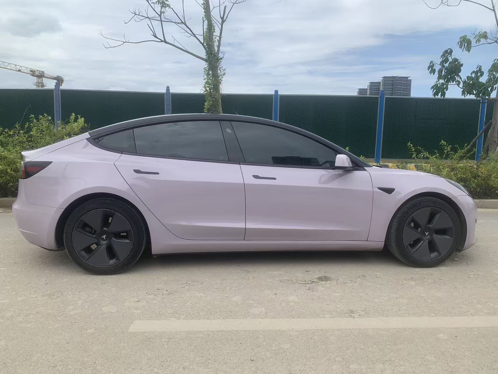 Tesla Model 3 2021 car image #5
