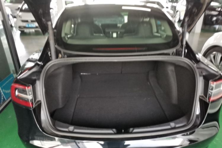 Tesla Model 3 2021 #19 Tesla Model 3 2021 car image #19