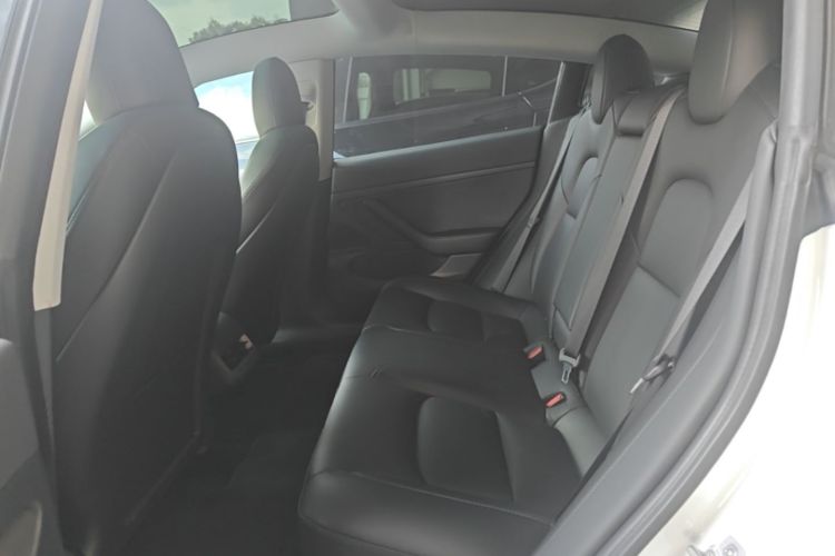 Tesla Model 3 2020 #17 Tesla Model 3 2020 car image #17