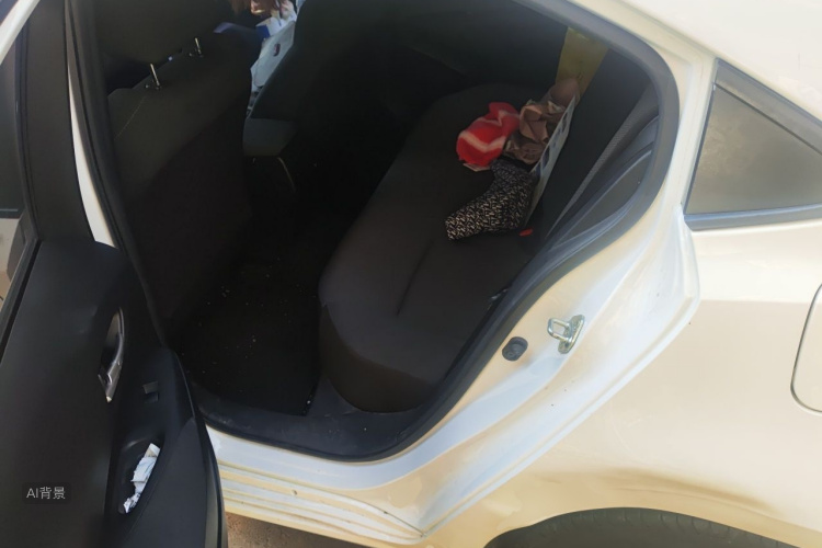 Toyota Corolla 2021 car image #19