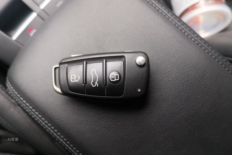 奥迪 奥迪A3 2020 汽车图片 #10