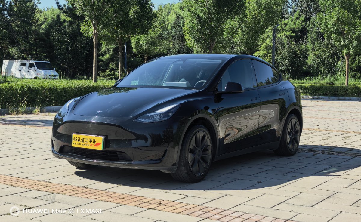 Tesla Model Y 2024 car image 