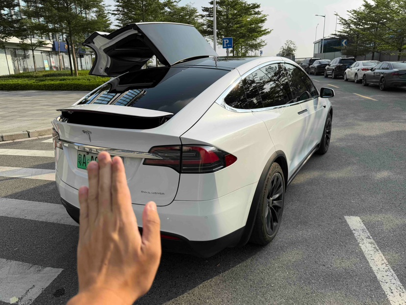 Tesla Model X 2021 car image #5
