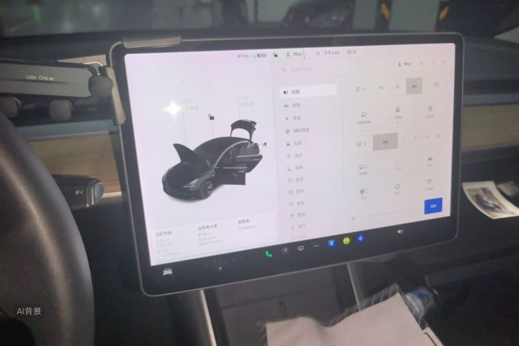 Tesla Model 3 2020 car image #13