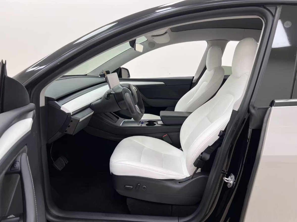 Tesla Model Y 2021 #13 Tesla Model Y 2021 car image #13