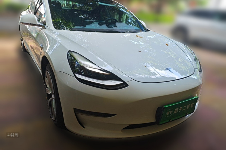 Tesla Model 3 2020 immagine di auto #4