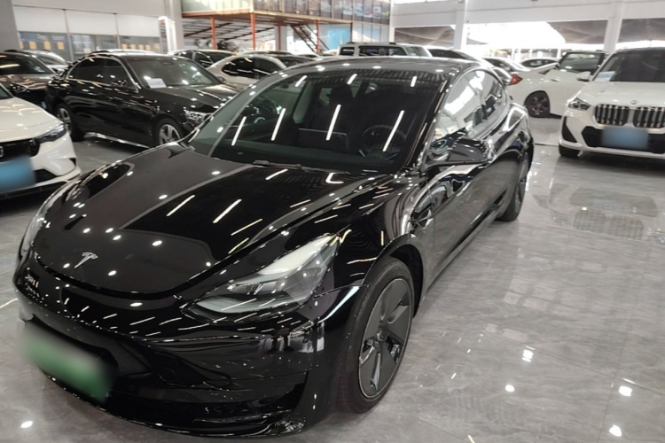 Tesla Model 3 2021 #2 Tesla Model 3 2021 immagine di auto #2