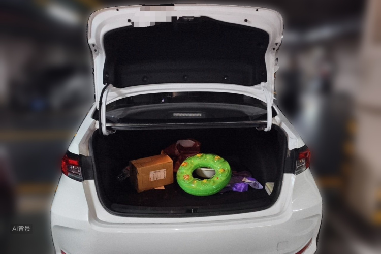 Toyota Corolla 2021 car image #21