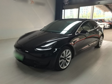 Tesla Model 3 2020 Tesla Model 3 2020 car image