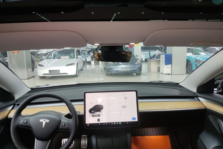 Tesla Model 3 2022 #18 Tesla Model 3 2022 car image #18