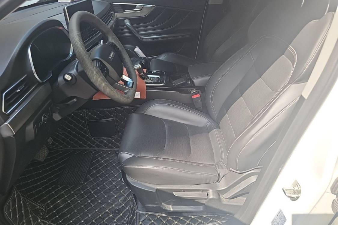 Jetour X70S 2019 car image #18