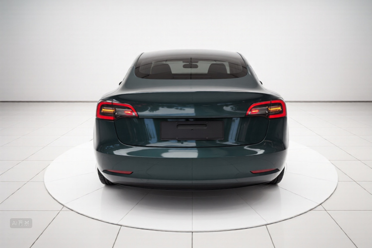 Tesla Model 3 2021 car image #6