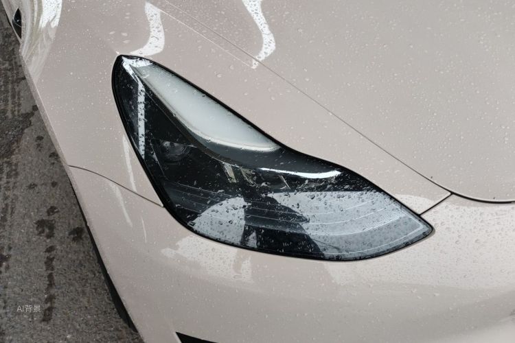 Tesla Model 3 2022 car image #8
