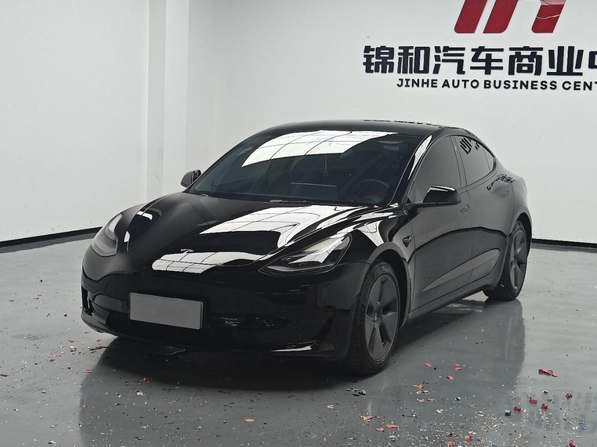 Tesla Model 3 2021 car image 