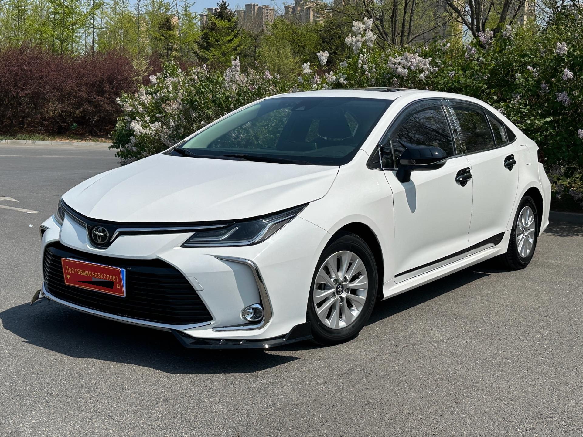 Toyota Corolla 2022 Toyota Corolla 2022 car image