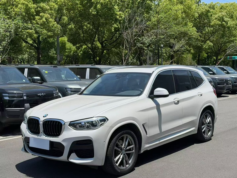 BMW X3 2020 car image 